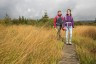 Balade dans la réserve naturelle des Hautes Fagnes sur les caillebottis typiques. (c) Best of Wandern | Thomas Bichler