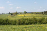 2023-05-01 Durch die Neundorfer Naturschutzgebiete - Neundorf (c) AVES
